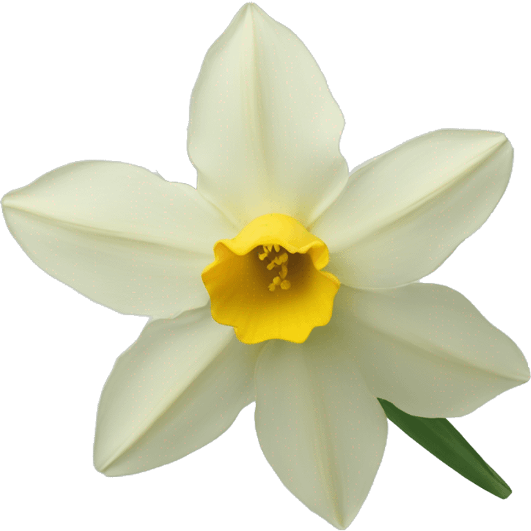 Flower of Narcissus emoji