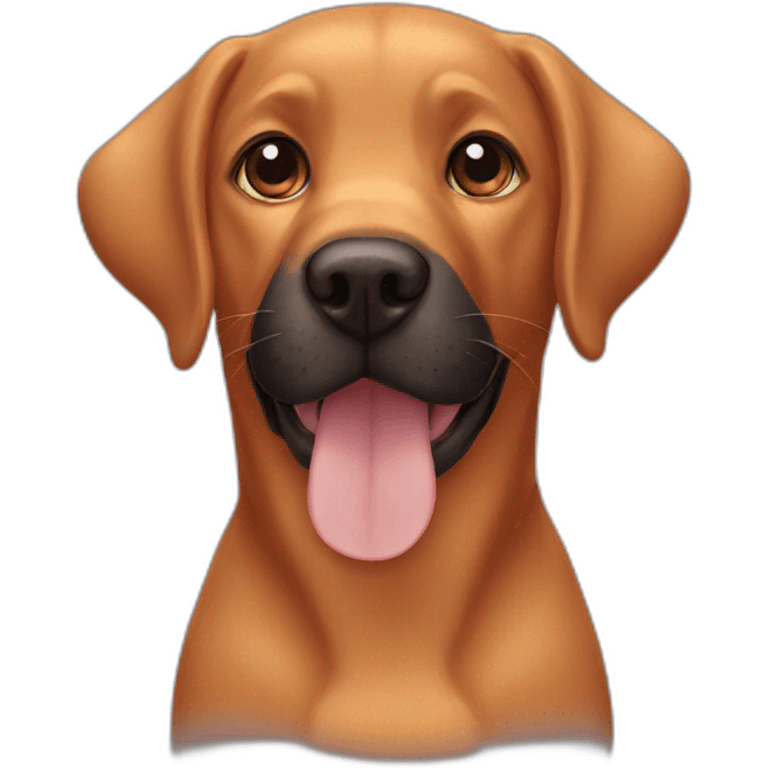 black labrador orange cat emoji