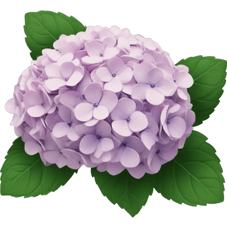 Hydrangea bouquet  emoji