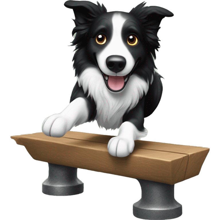 Border collie jumping over anvil emoji