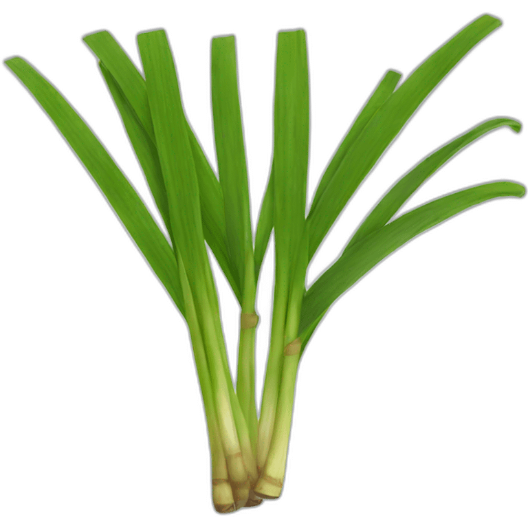 lemongrass emoji emoji