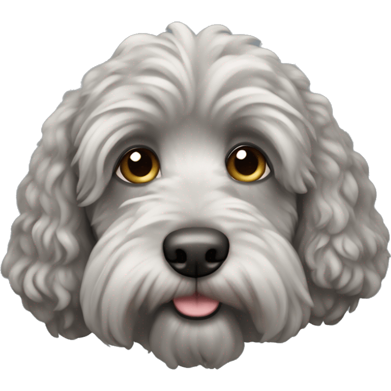 grey cockapoo dog  emoji