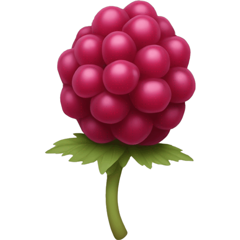 a simplistic raspberry emoji