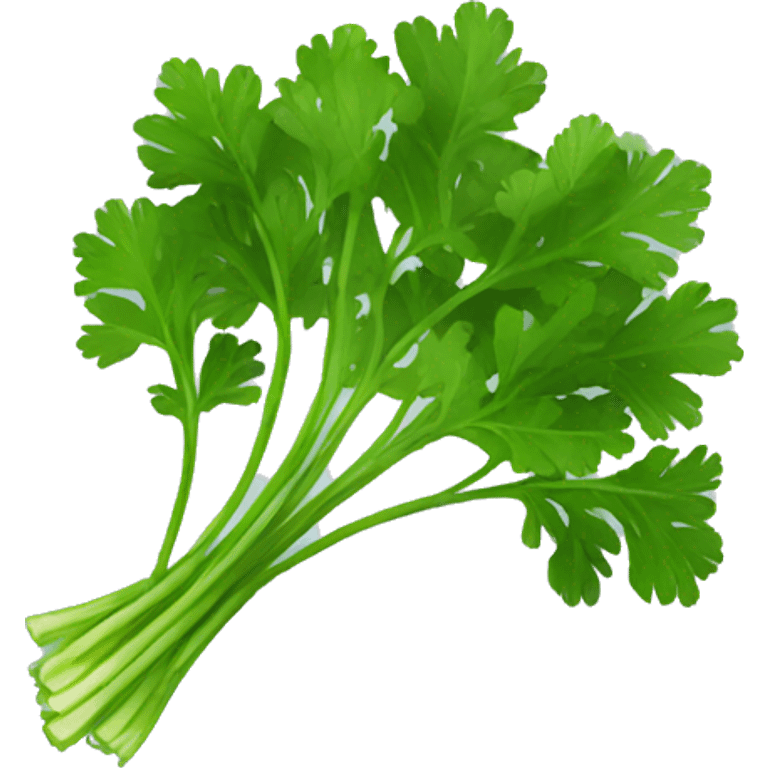 parsley emoji