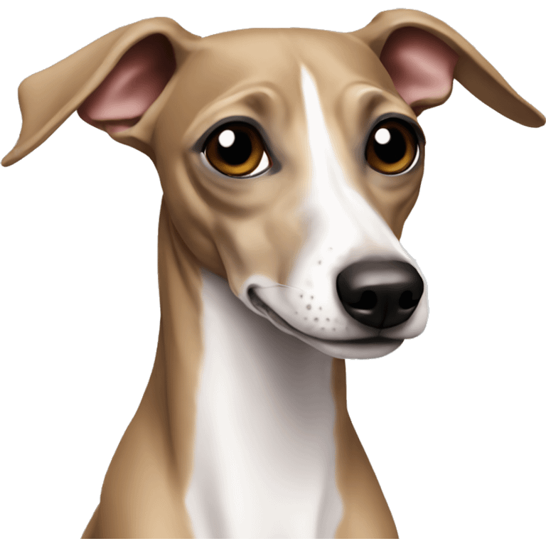 Italian greyhound emoji