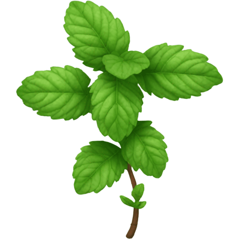 Mint plant emoji