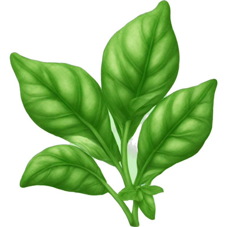 Basil  emoji