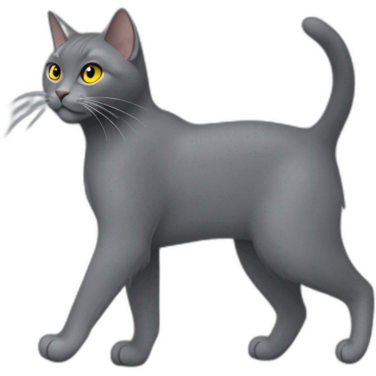 cuddly fluffy grey korat breed cat with yellow eyes black pupils, walking and playing female emoji