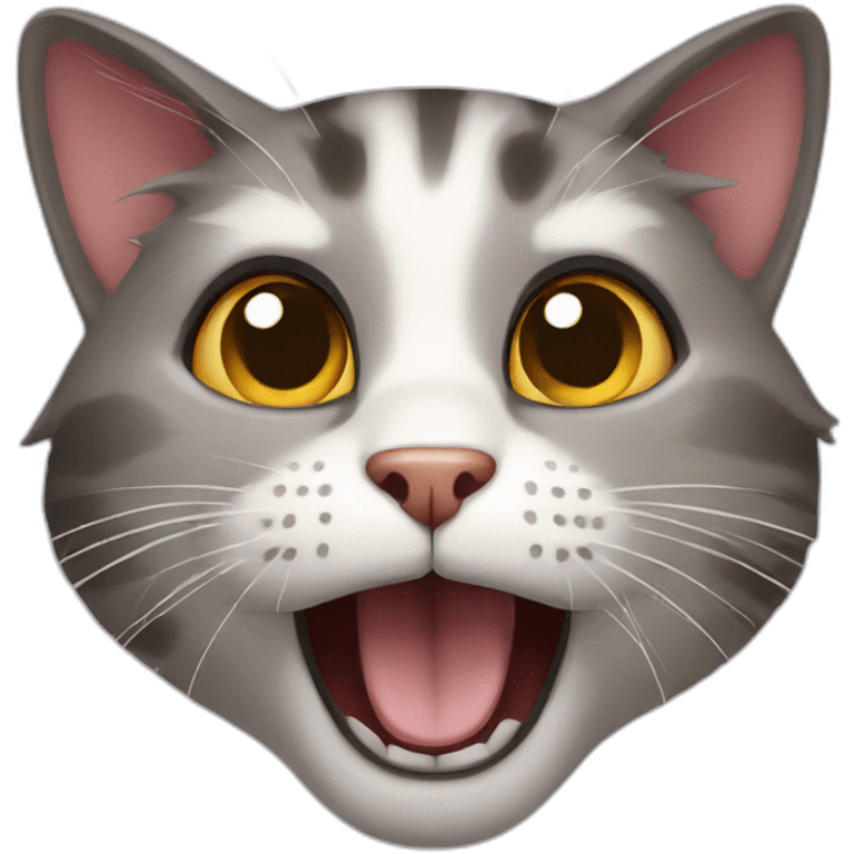 cat surprised emoji