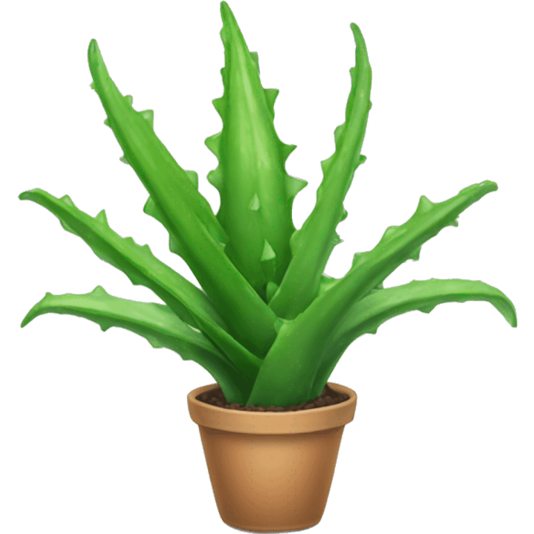 Plant aloe vera emoji