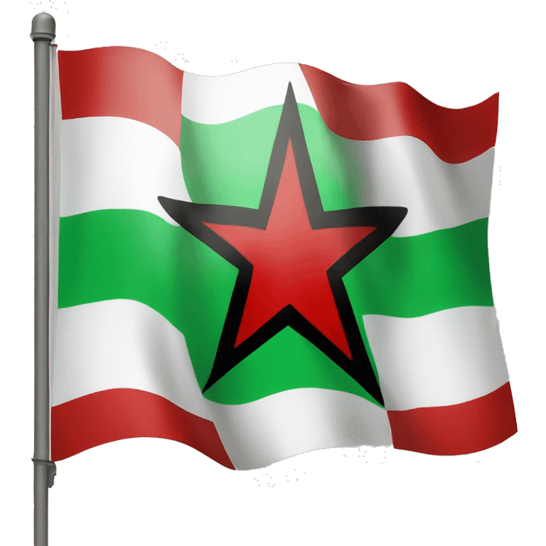 flag with green,white,red and a black star in the middle emoji