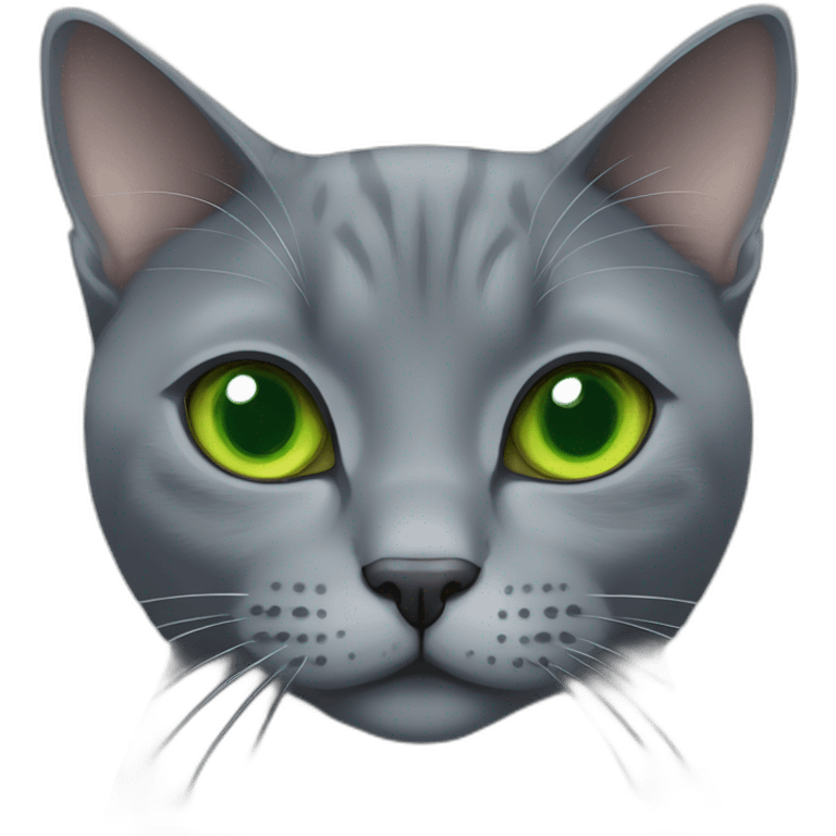 round faced grey russian blue cat with green eyes and fat emoji