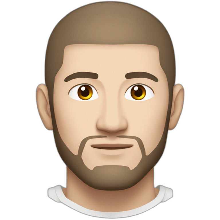 khabib nurmagomedov emoji