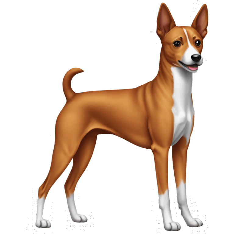 Dog basenji emoji