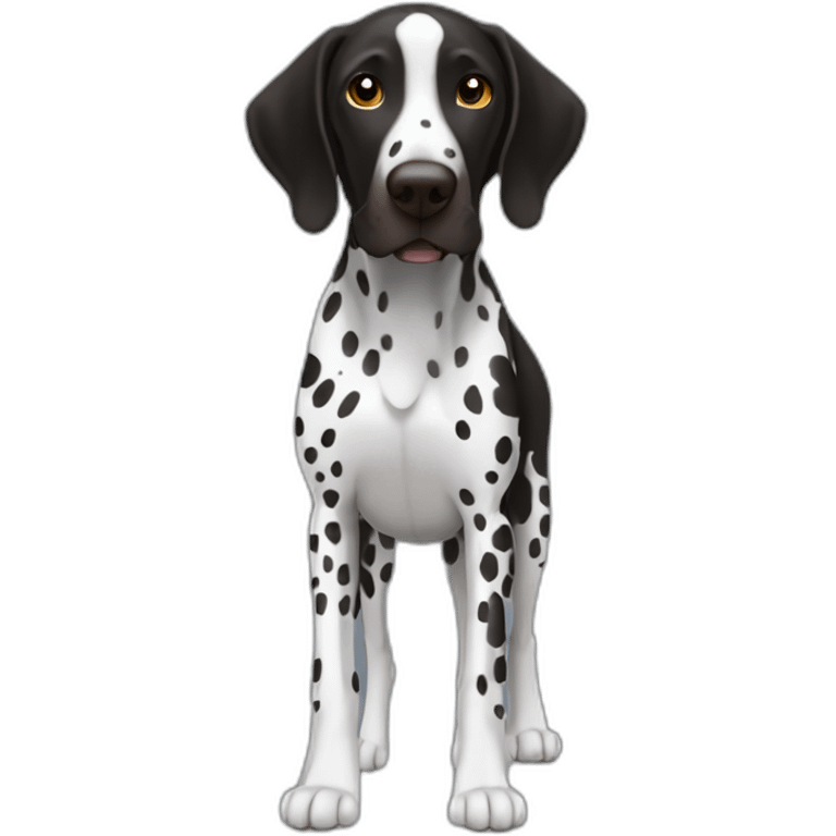 black german shorthair pointer, full black head, without white on the head, with white hair on the snout, black and white spotted body emoji