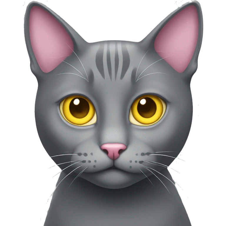 Gray cat with yellow eyes with pink heart  emoji