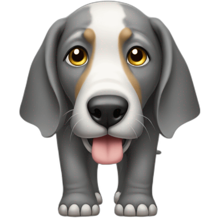 chien sur elephant emoji