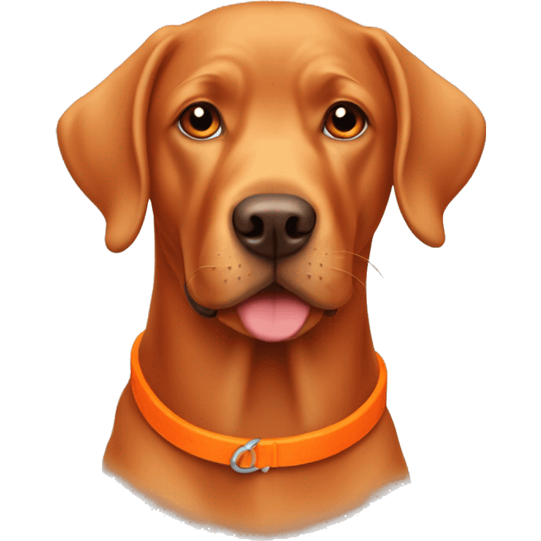 Red Labrador with an orange collar  emoji