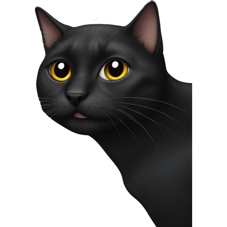 Drooling black cat emoji