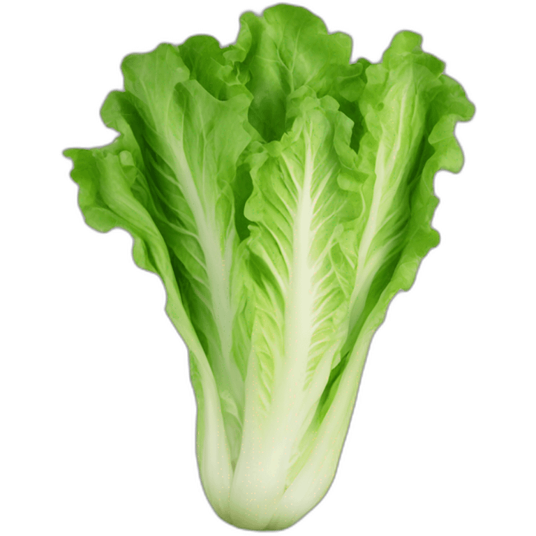 Lettuce With Praying Hands emoji