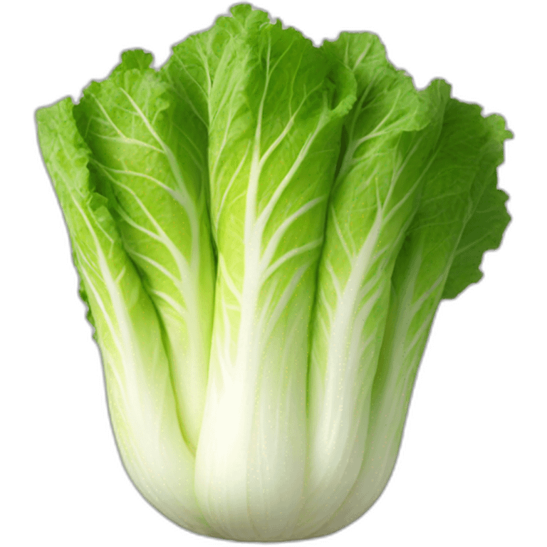 Kimchi napa cabbage emoji