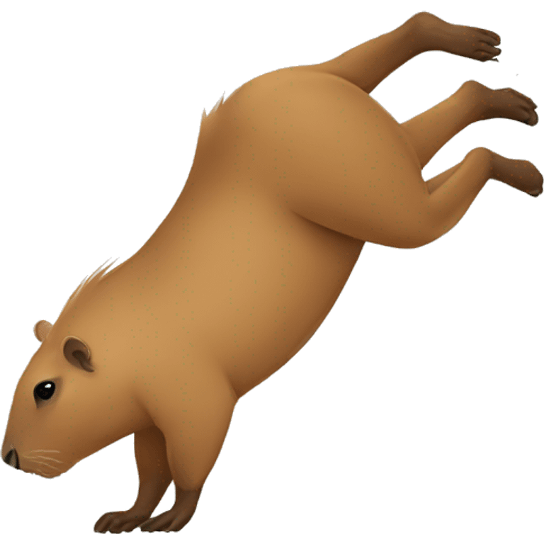 capybara doing a handstand emoji