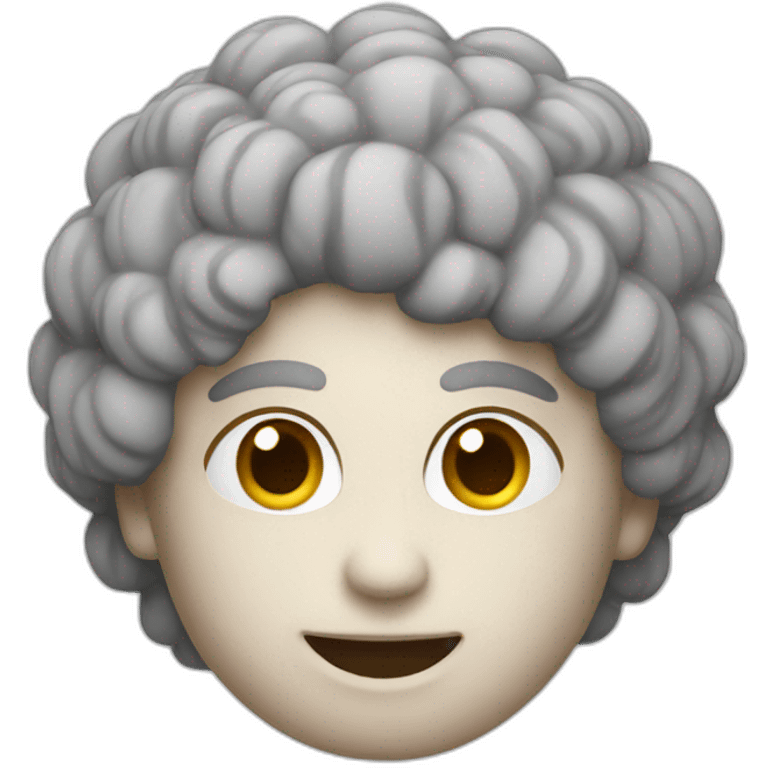 stim-toys emoji