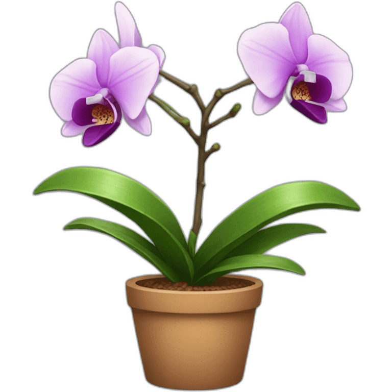 Potted orchid emoji