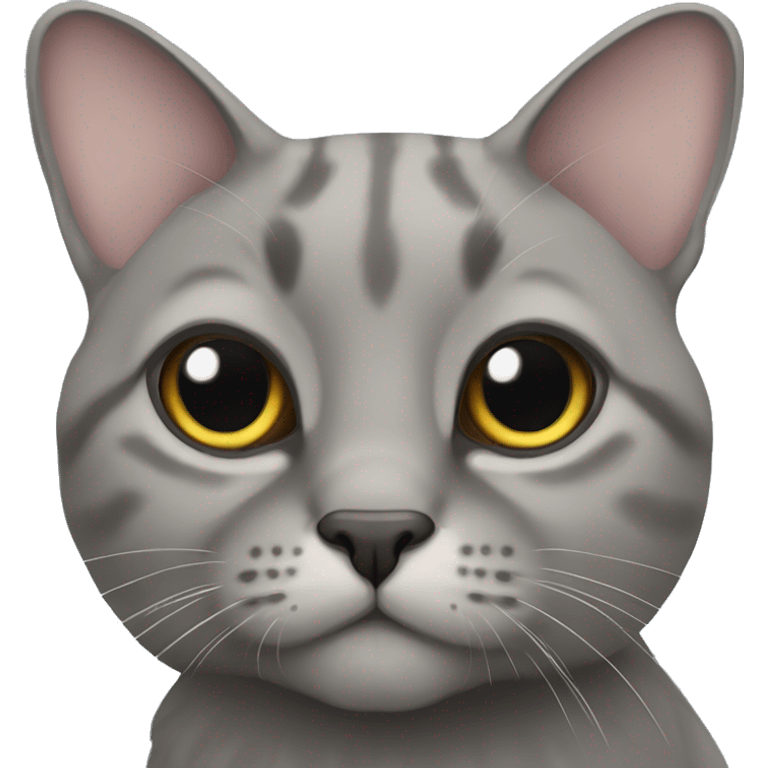 Scottish lop-eared gray cat emoji