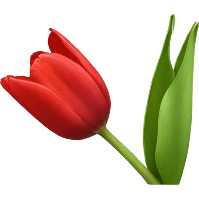 Red tulip  emoji