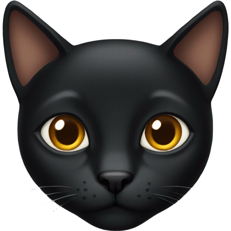 black cat with brown eyes emoji