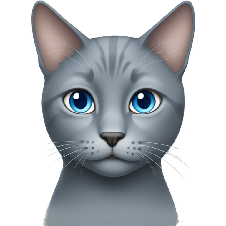 long coat blue eyed grey cat emoji