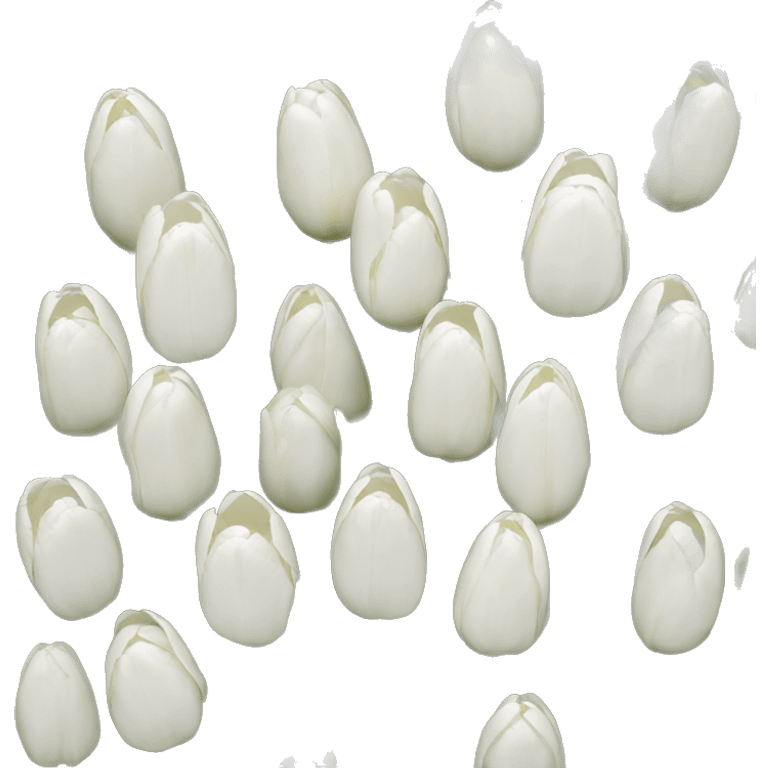 White tulips emoji