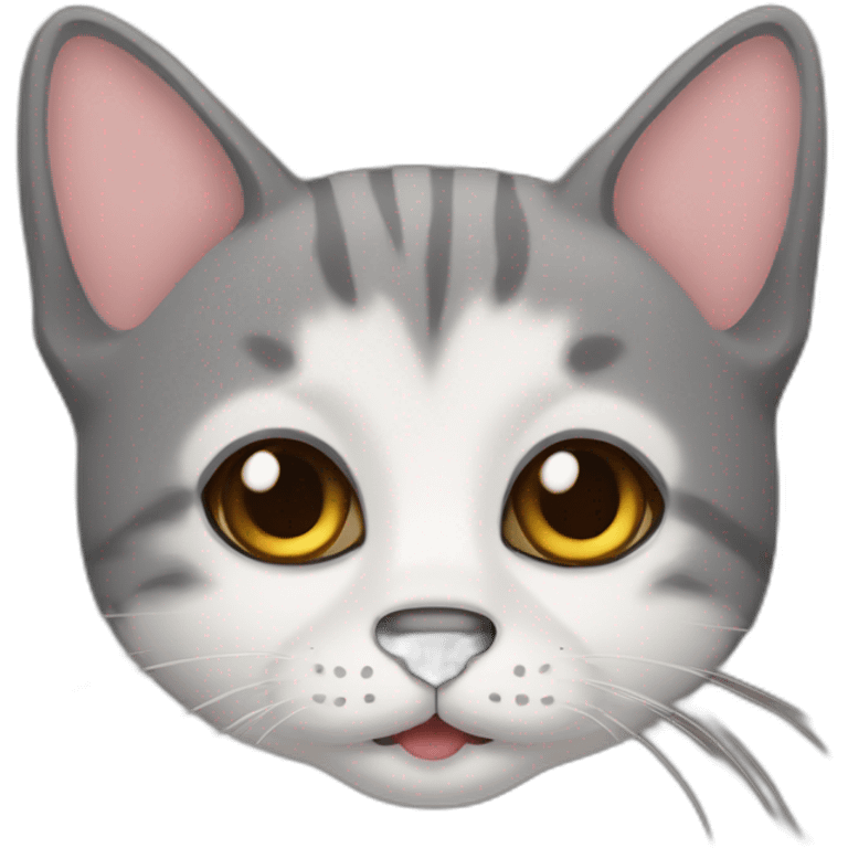 Gato perro emoji