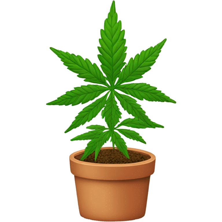 Marijuana plant with person red head emoji