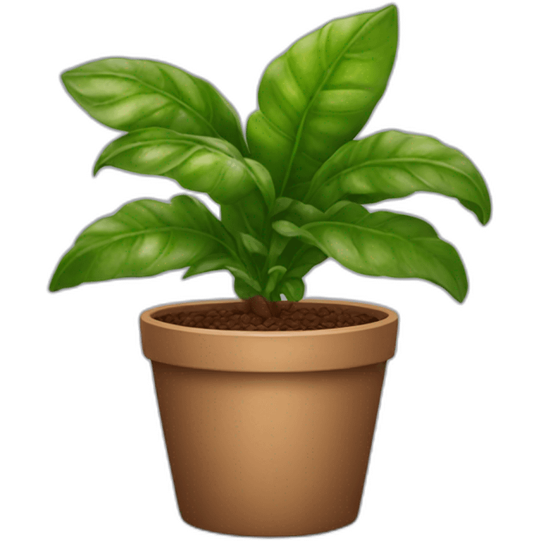 coffee-houseplant-in-pot emoji