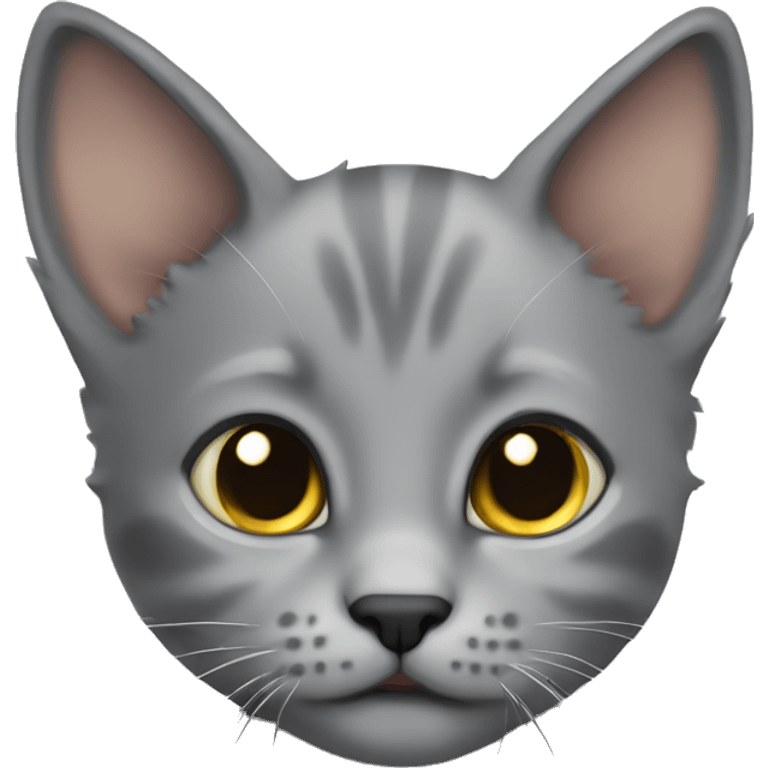 Grey kitten emoji