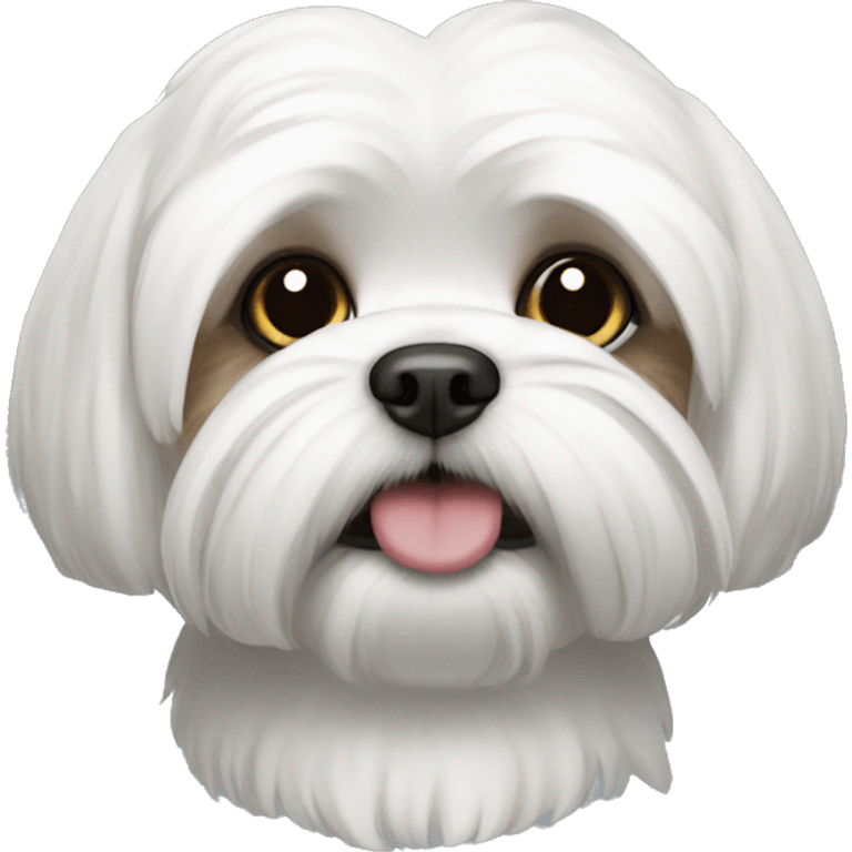 Shi tzu white  emoji