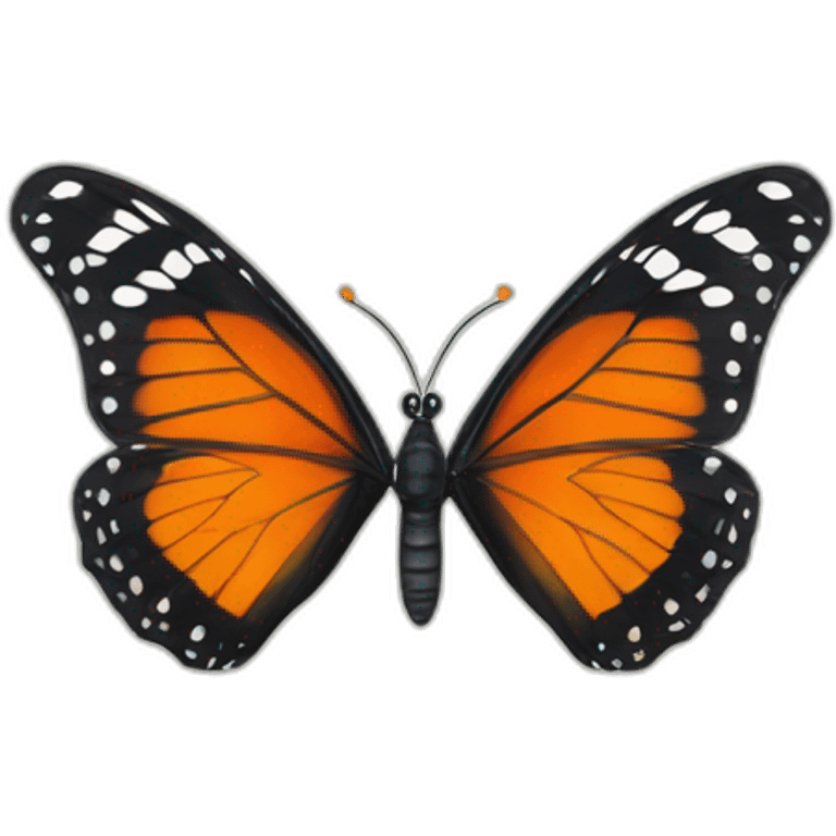 the two most beautiful black and orange butterflies emoji