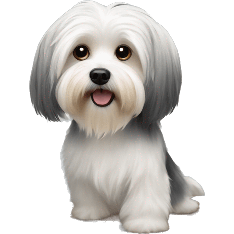 Havanese talking on a cellphone sitting at a computer desk emoji