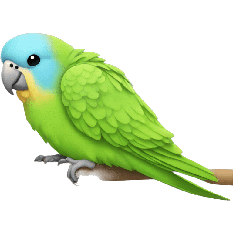 Parakeet sleeping emoji