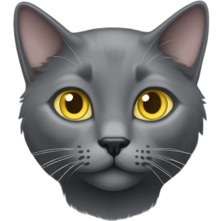 cuddly fluffy grey korat breed cat with yellow eyes black pupils, walking and playing female emoji