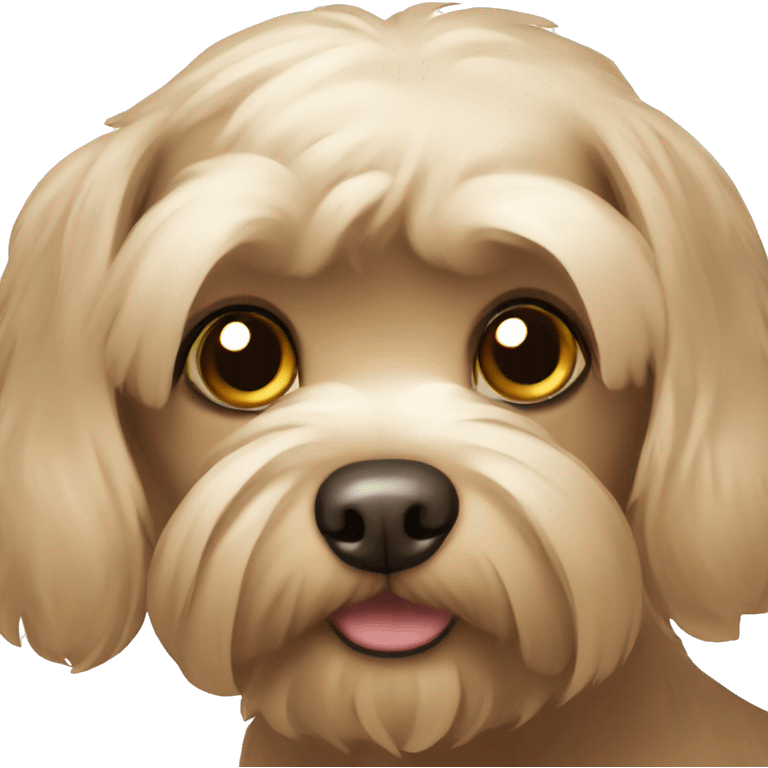 Brown maltese dog emoji