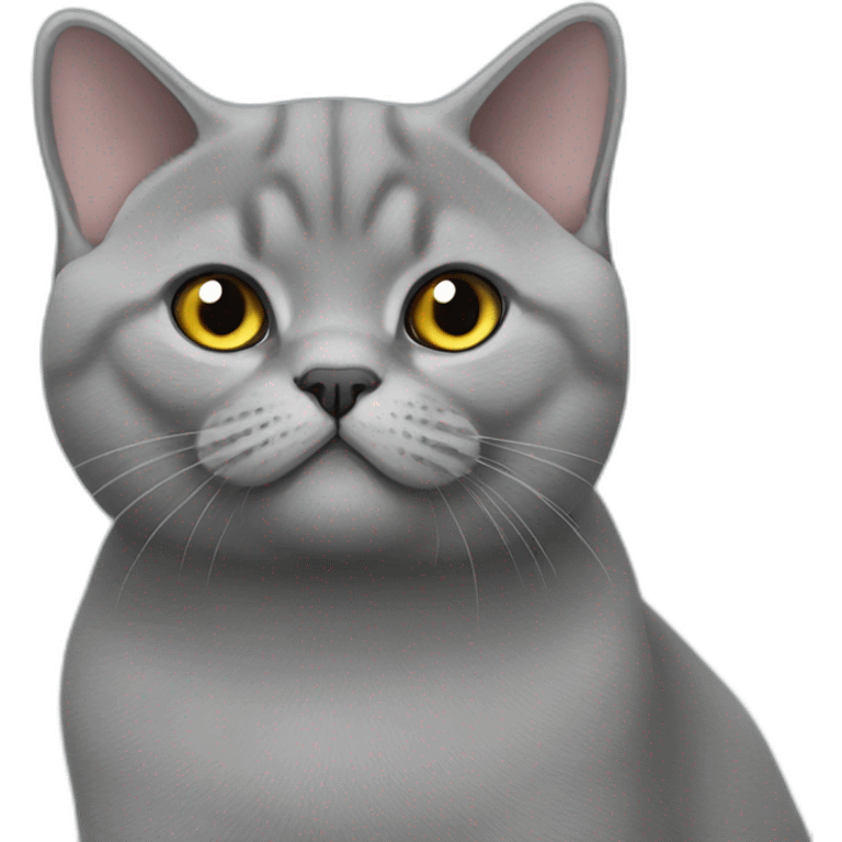 2 british shorthair cats grey emoji