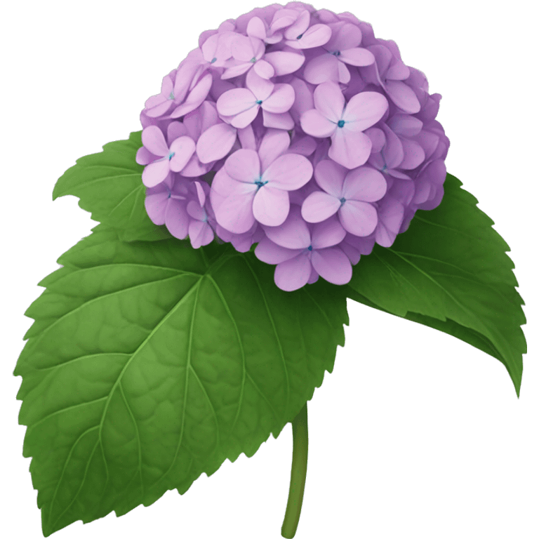 hydrangea emoji