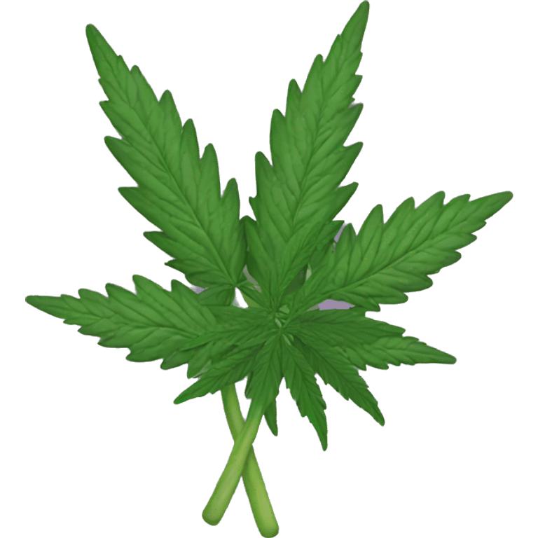  cannabis bouquet  emoji