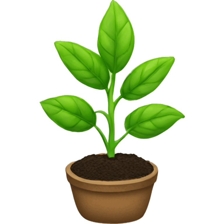 a seedling
 emoji