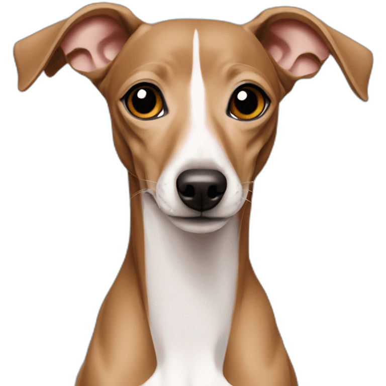 italian greyhound brown emoji