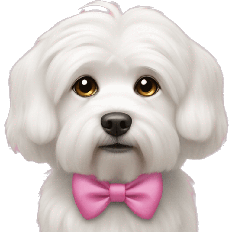 Cotton de tulear white dog with pink bow emoji