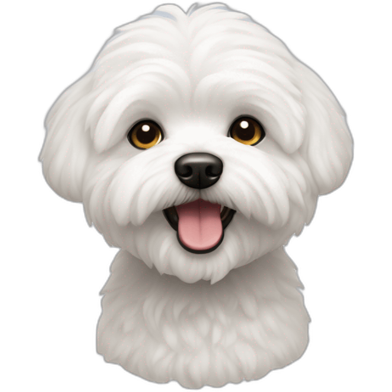 bichon maltes emoji